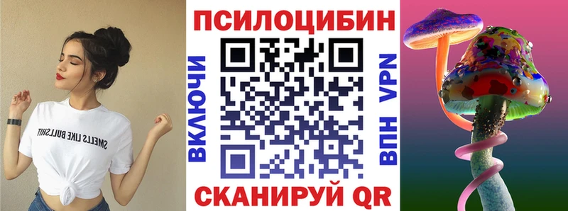 Псилоцибиновые грибы MAGIC MUSHROOMS  OMG как войти  Терек  где можно купить наркотик 